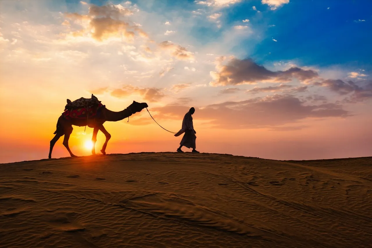 Camel safari Jaisalmer