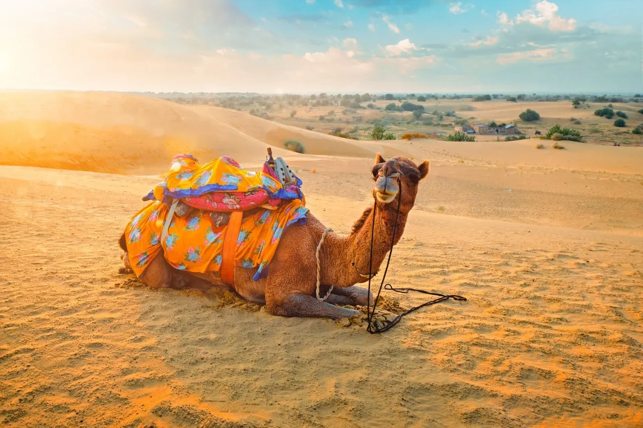 Jaisalmer tour packages with city sightseeing and desert experience